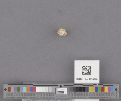 NSF ADBC EPICC TCN