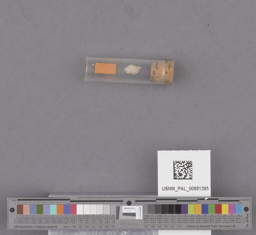 NSF ADBC EPICC TCN