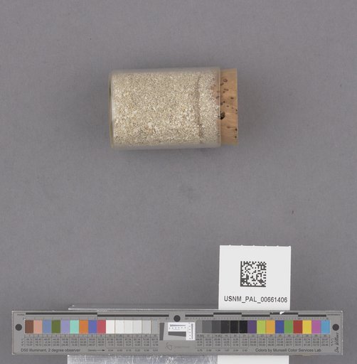 NSF ADBC EPICC TCN