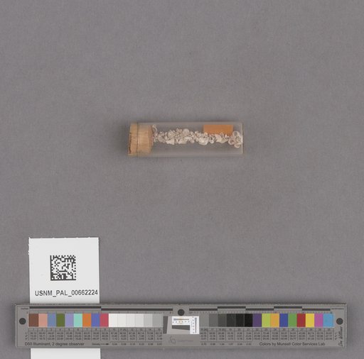 NSF ADBC EPICC TCN