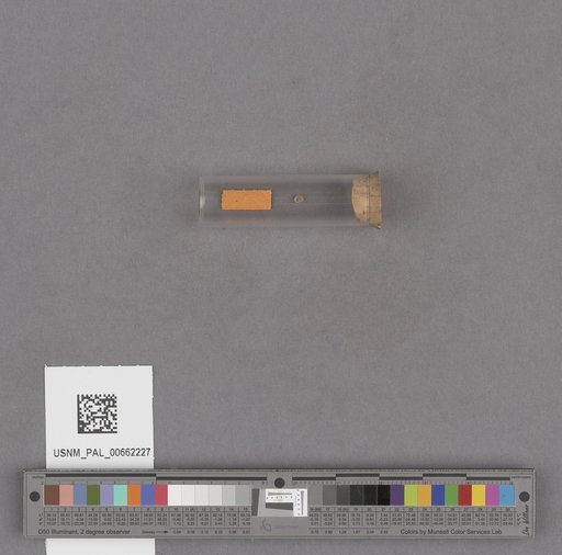 NSF ADBC EPICC TCN