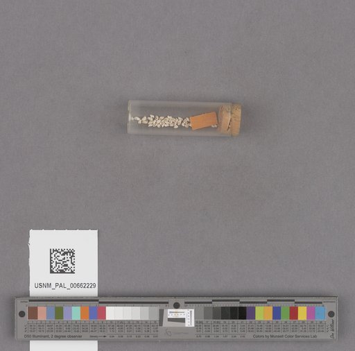 NSF ADBC EPICC TCN