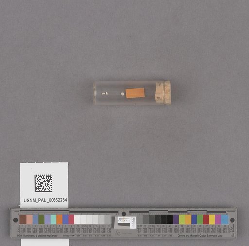 NSF ADBC EPICC TCN