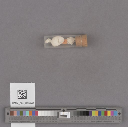 NSF ADBC EPICC TCN