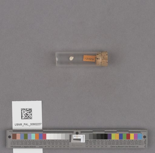 NSF ADBC EPICC TCN