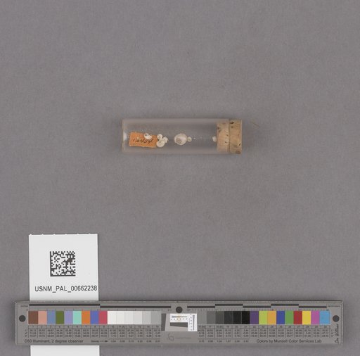 NSF ADBC EPICC TCN