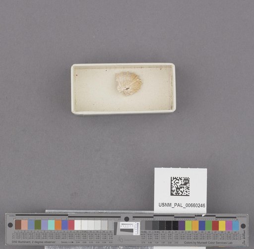 NSF ADBC EPICC TCN