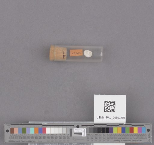 NSF ADBC EPICC TCN