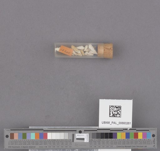 NSF ADBC EPICC TCN