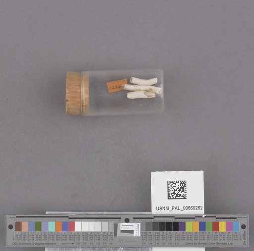 NSF ADBC EPICC TCN