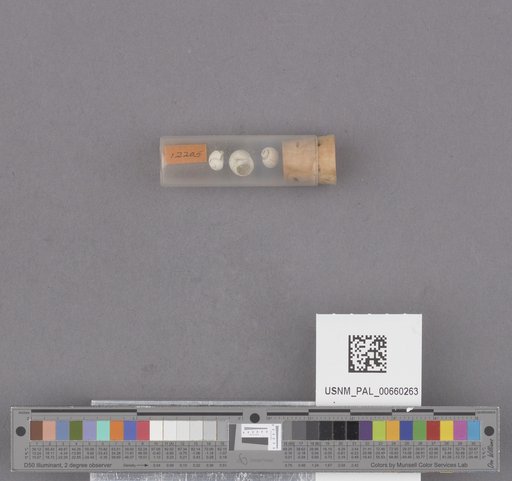 NSF ADBC EPICC TCN