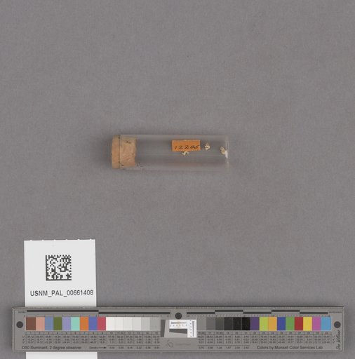 NSF ADBC EPICC TCN