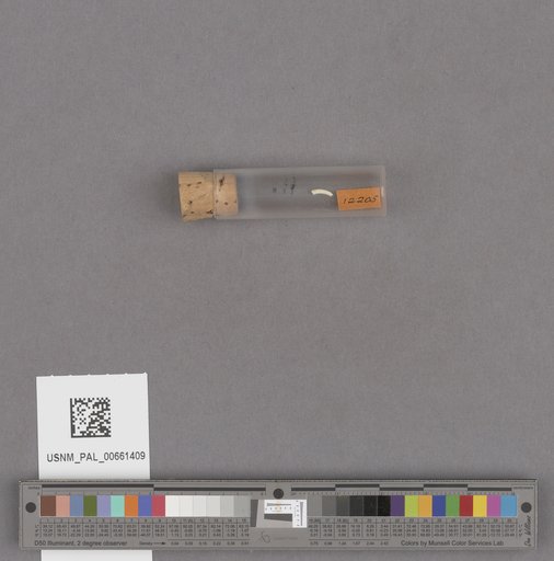 NSF ADBC EPICC TCN
