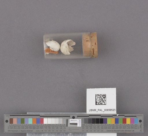 NSF ADBC EPICC TCN