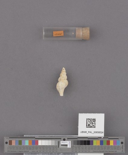 NSF ADBC EPICC TCN