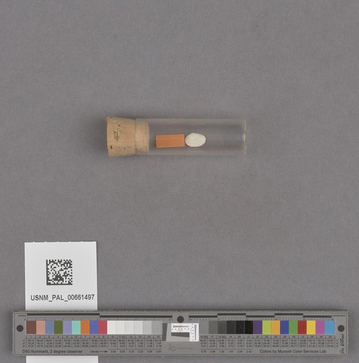 NSF ADBC EPICC TCN