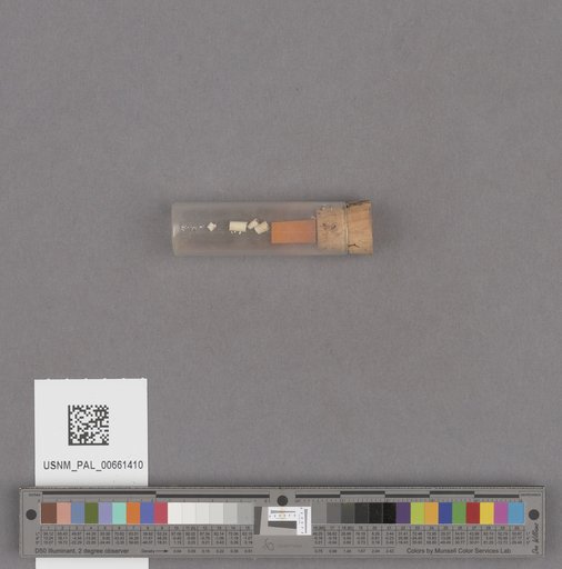 NSF ADBC EPICC TCN