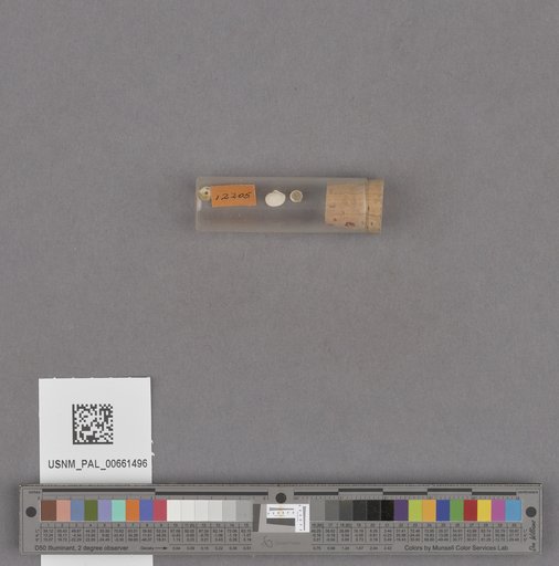 NSF ADBC EPICC TCN