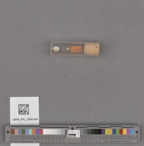 NSF ADBC EPICC TCN