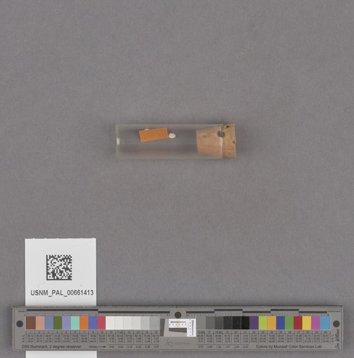 NSF ADBC EPICC TCN