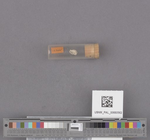 NSF ADBC EPICC TCN