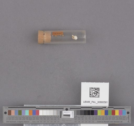 NSF ADBC EPICC TCN