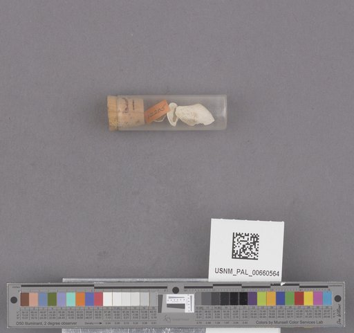 NSF ADBC EPICC TCN