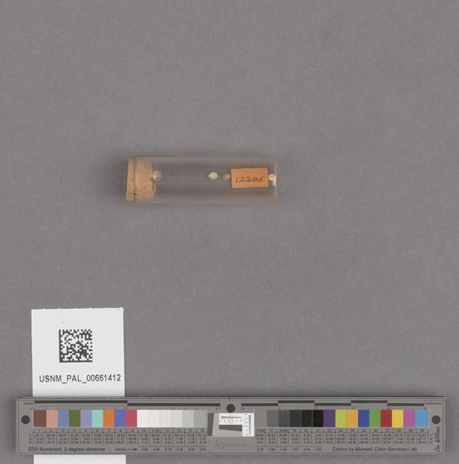 NSF ADBC EPICC TCN