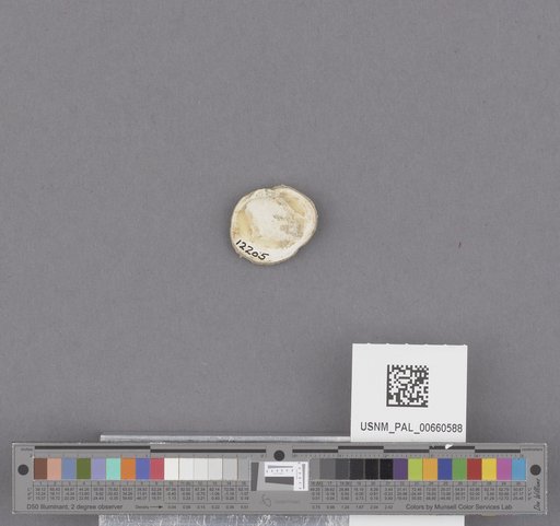 NSF ADBC EPICC TCN