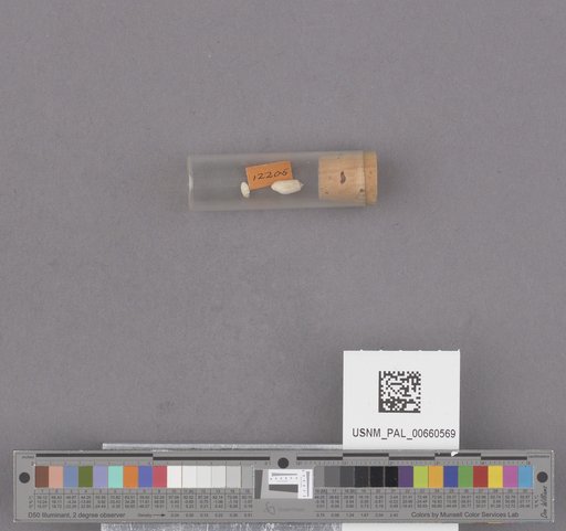 NSF ADBC EPICC TCN