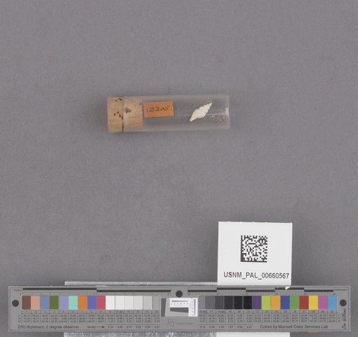 NSF ADBC EPICC TCN