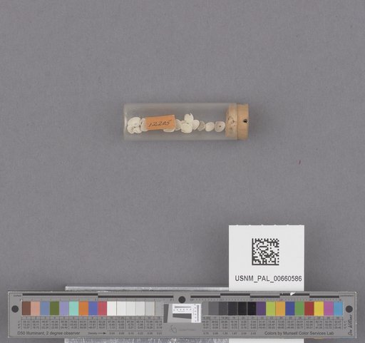 NSF ADBC EPICC TCN