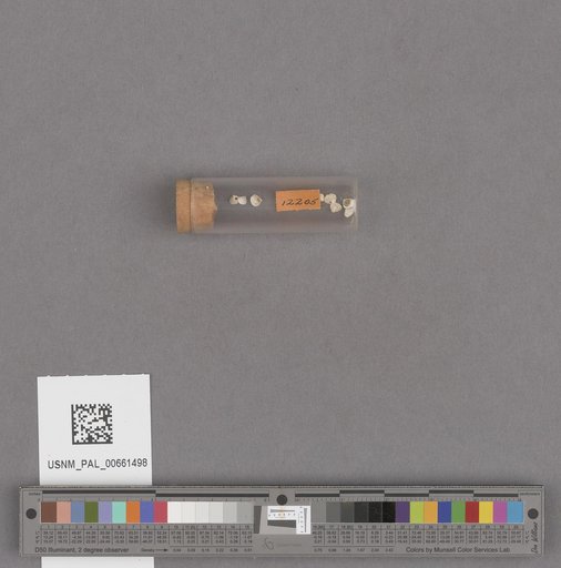 NSF ADBC EPICC TCN