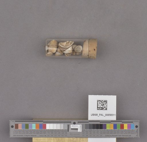 NSF ADBC EPICC TCN