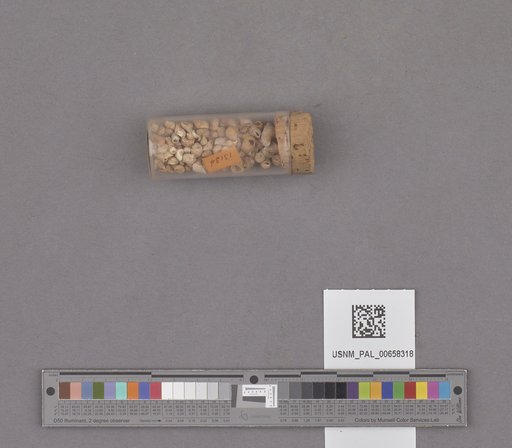 NSF ADBC EPICC TCN
