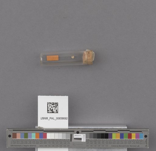 NSF ADBC EPICC TCN