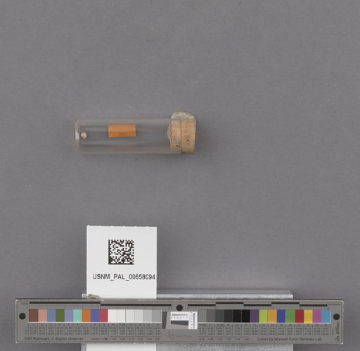 NSF ADBC EPICC TCN