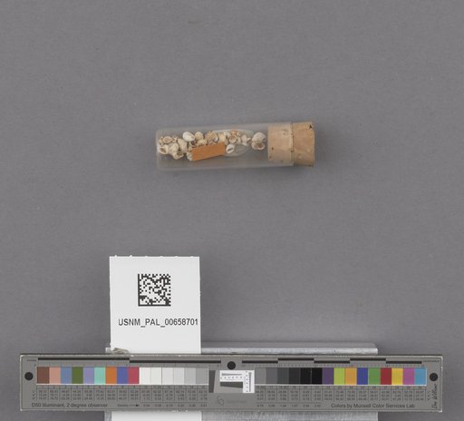 NSF ADBC EPICC TCN