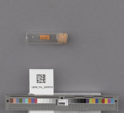 NSF ADBC EPICC TCN