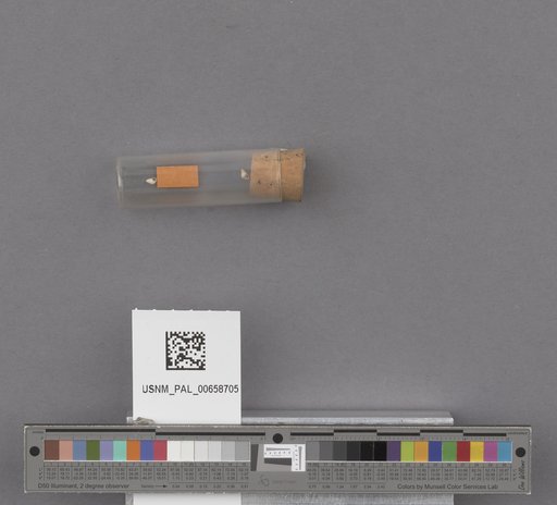 NSF ADBC EPICC TCN