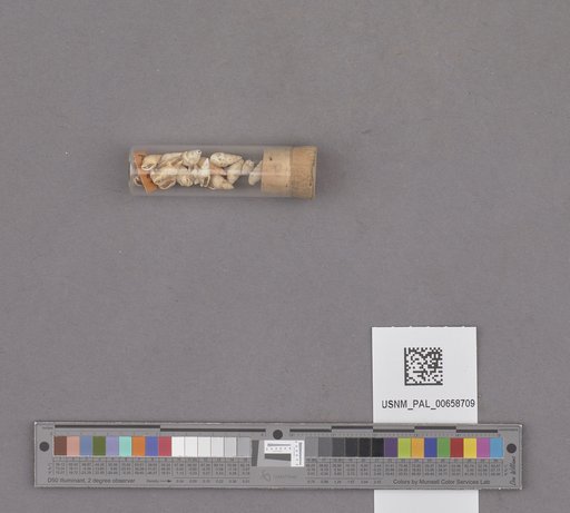 NSF ADBC EPICC TCN