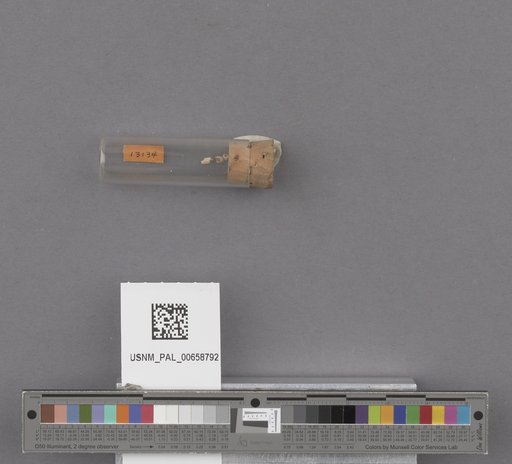 NSF ADBC EPICC TCN