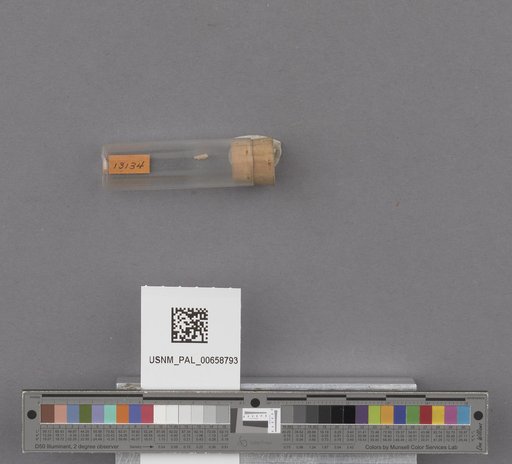 NSF ADBC EPICC TCN