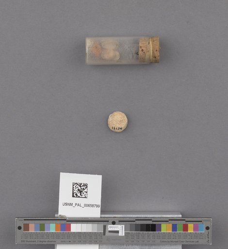 NSF ADBC EPICC TCN