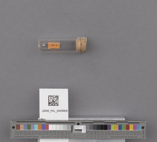 NSF ADBC EPICC TCN