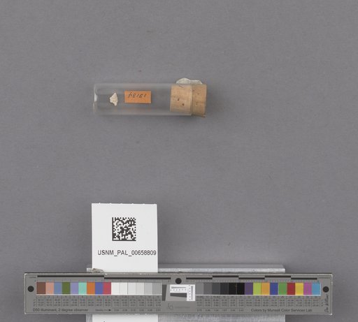 NSF ADBC EPICC TCN