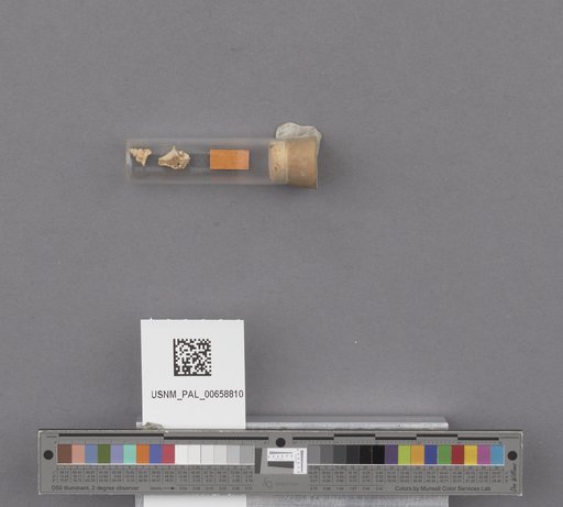 NSF ADBC EPICC TCN