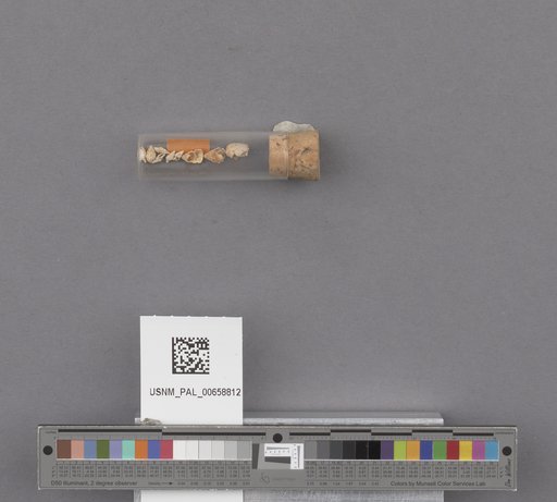 NSF ADBC EPICC TCN