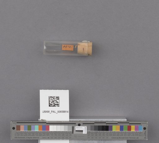 NSF ADBC EPICC TCN