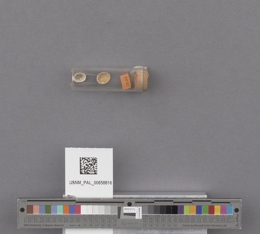NSF ADBC EPICC TCN